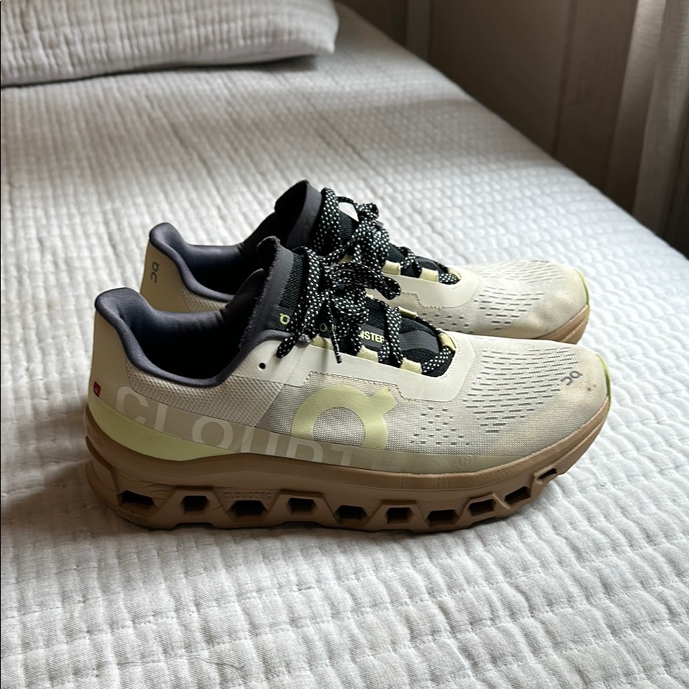 On Cloudmonster 1